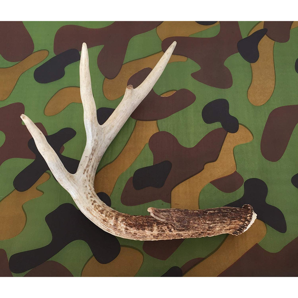20"x30" Camouflage Printed Tissue Paper - Available In Different Quantities (43F0960)