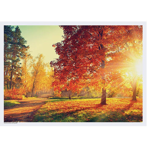 Autumn Walk Disposable Paper Placemats - 10in. x 14in. (702078)
